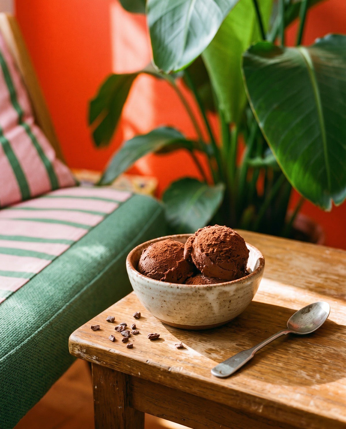 Chocolate protein ice cream, recipe photo